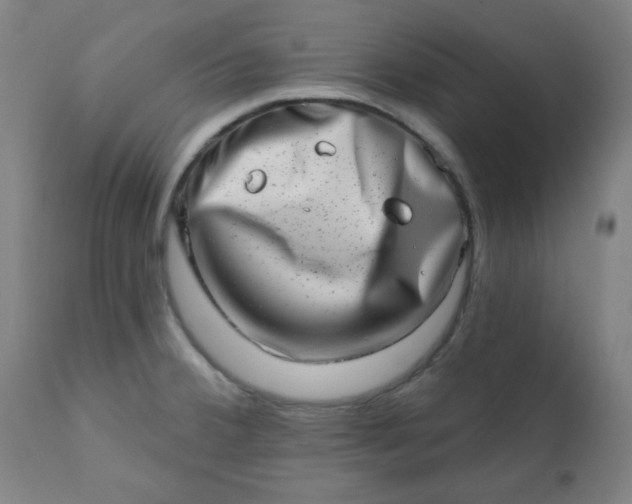 X0000113201380200909241348