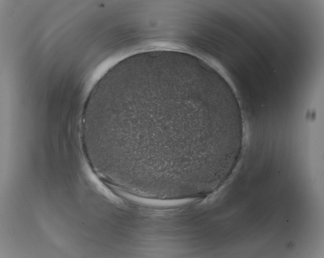 X0000113201381200909241348