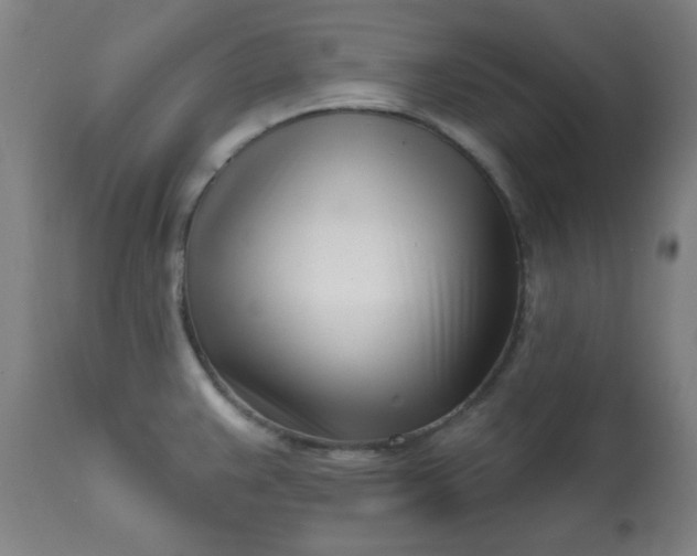 X0000113201383200909241348