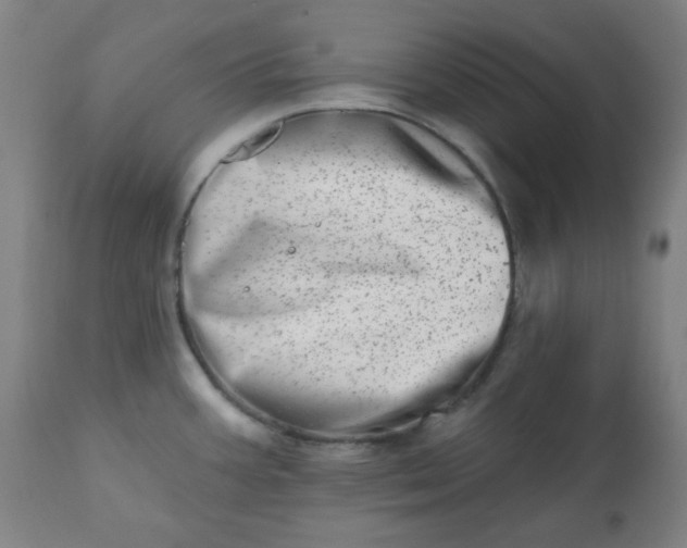 X0000113201387200909241348