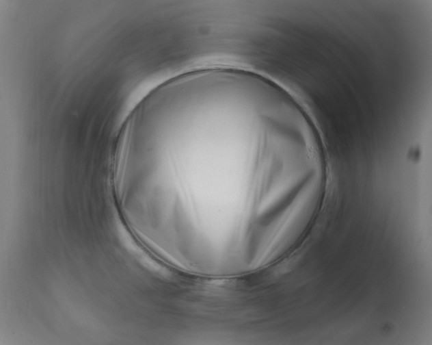 X0000113201390200909241347