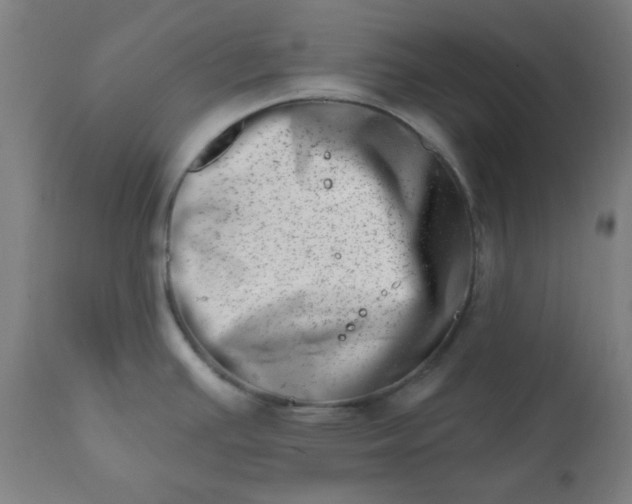 X0000113201391200909241347