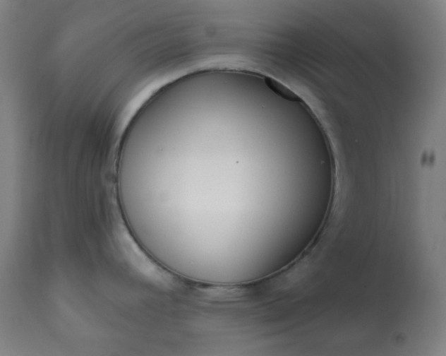 X0000113201392200909241347