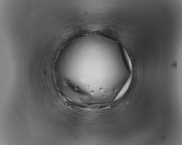 X0000113201393200909241347