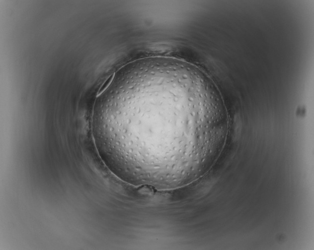 X0000113201394200909241347