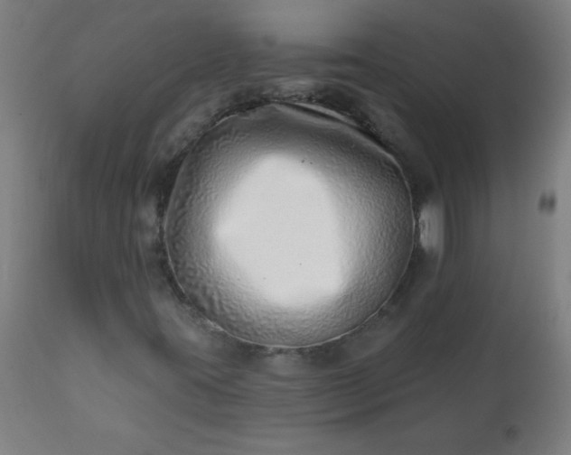 X0000113201395200909241347