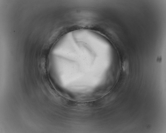 X0000113201396200909241347