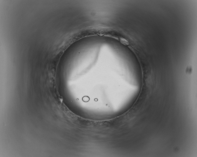 X0000113201397200909241347