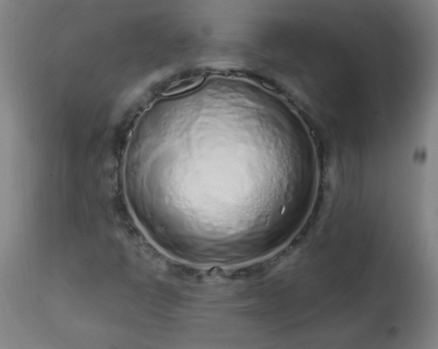 X0000113201398200909241347