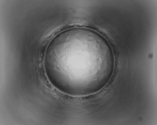 X0000113201399200909241347