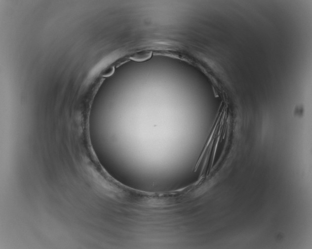 X0000113201402200909241347