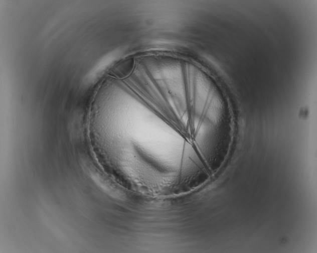 X0000113201403200909241347