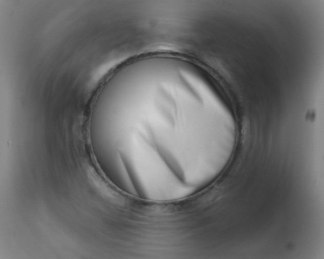 X0000113201404200909241347