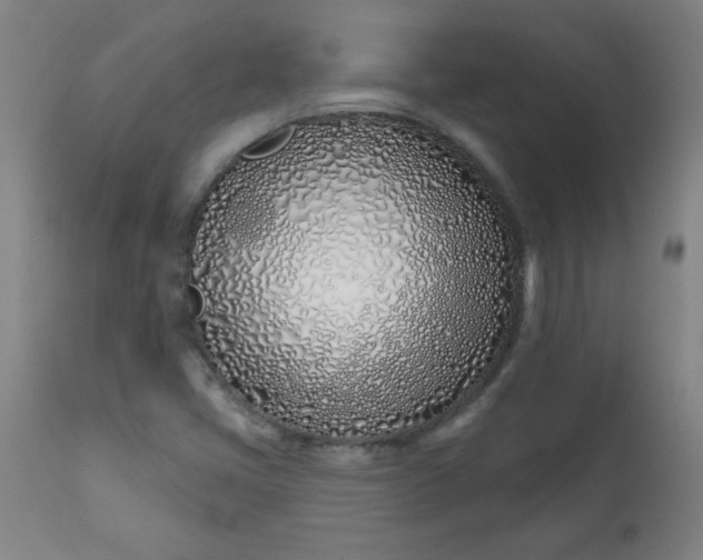 X0000113201405200909241347