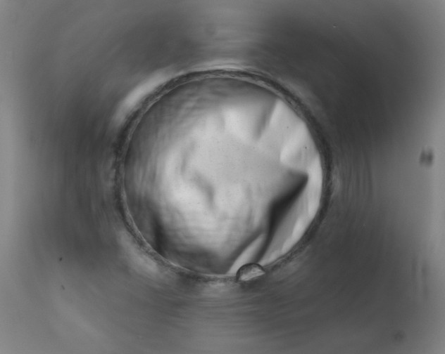 X0000113201406200909241347