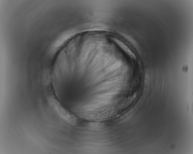 X0000113201407200909241347