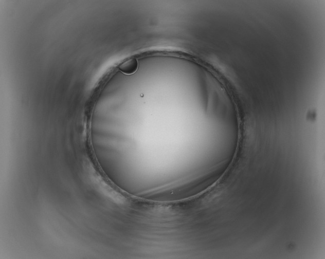 X0000113201408200909241347