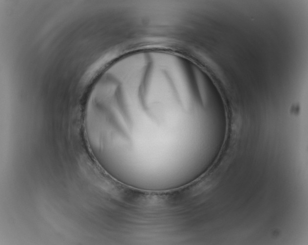 X0000113201411200909241347