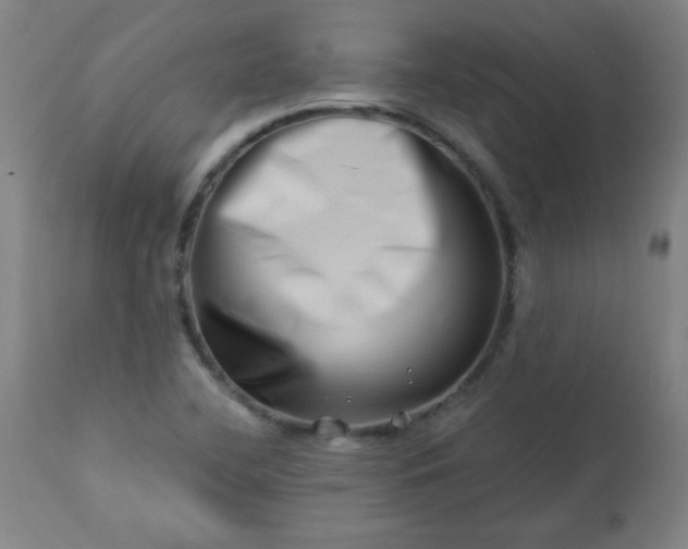 X0000113201412200909241347