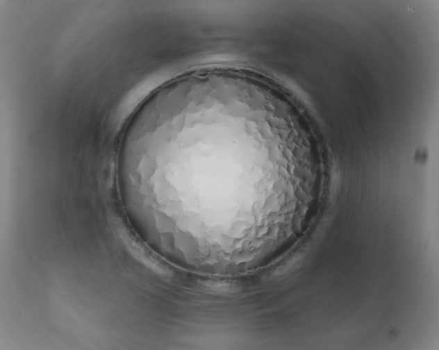 X0000113201413200909241347