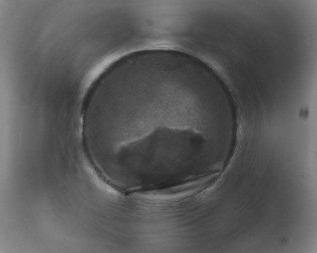 X0000113201414200909241347