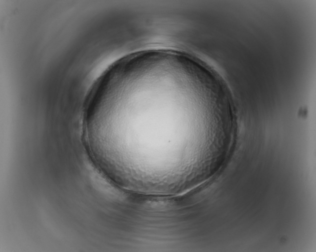 X0000113201415200909241347