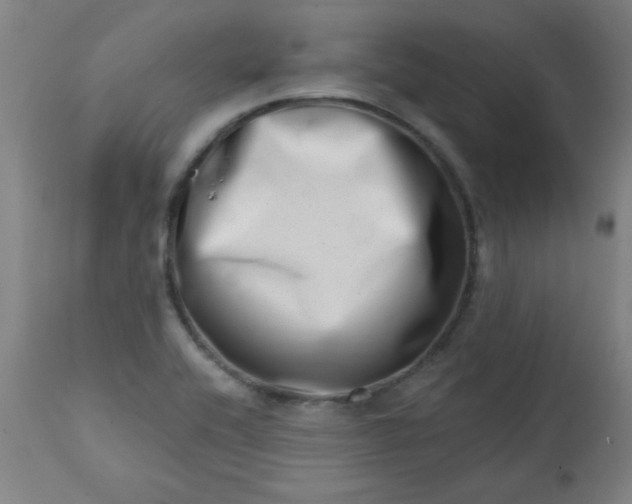 X0000113201416200909241347