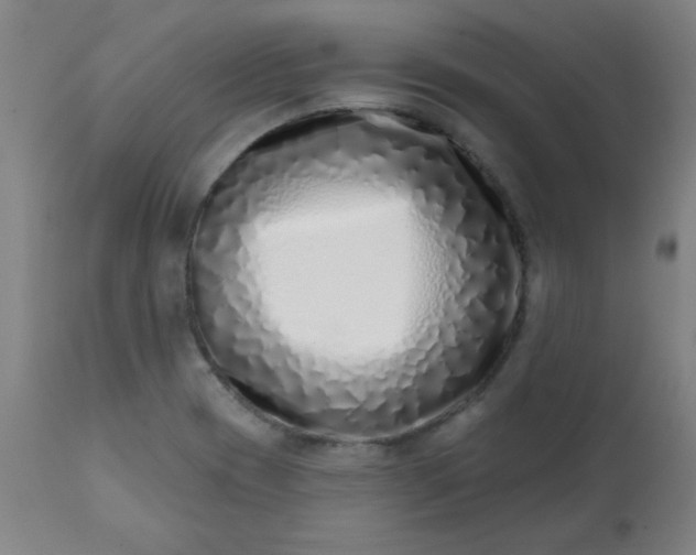 X0000113201417200909241347