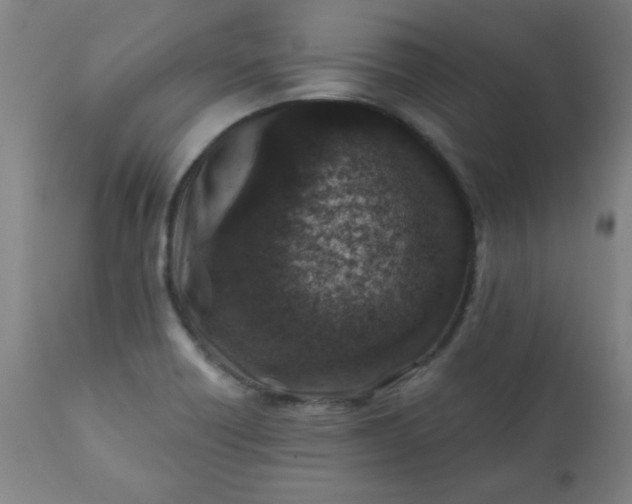 X0000113201418200909241347