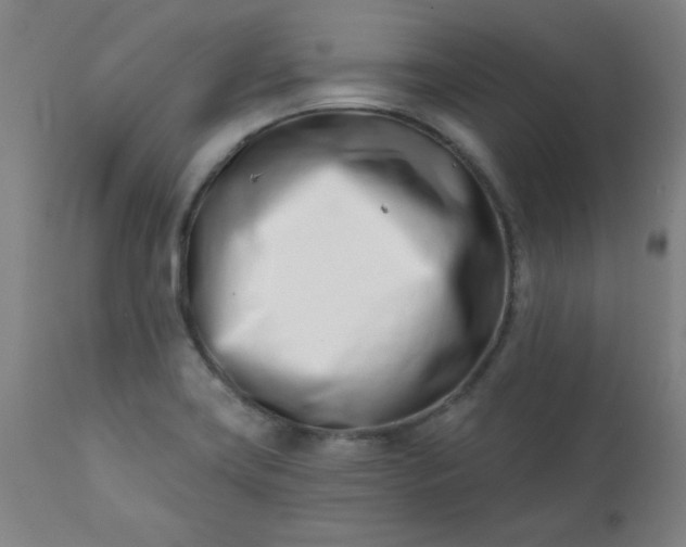 X0000113201419200909241347