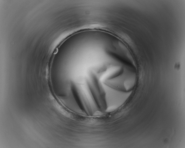 X0000113201420200909241347