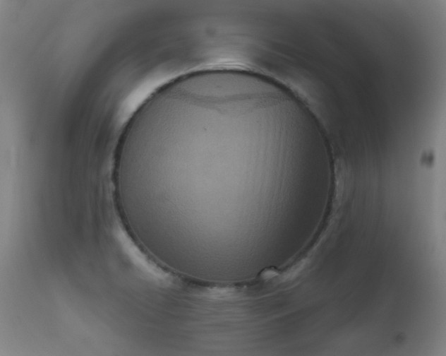 X0000113201422200909241347