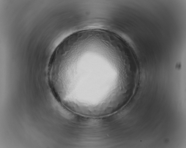 X0000113201423200909241347