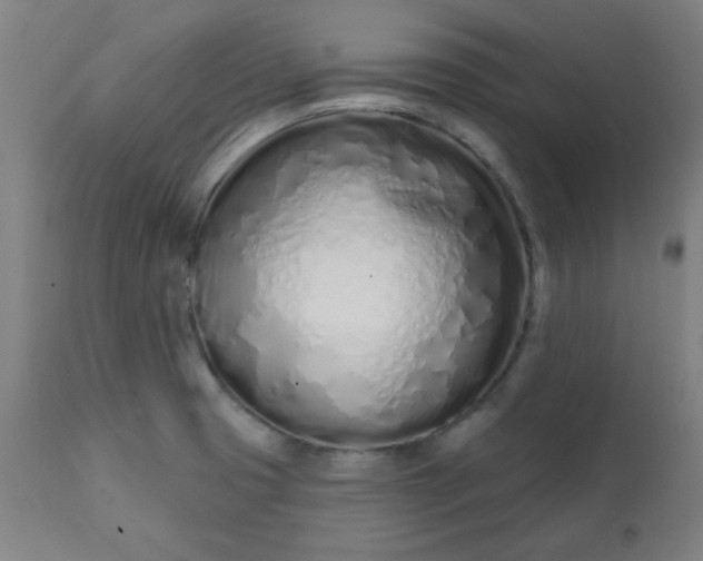 X0000113201425200909241347