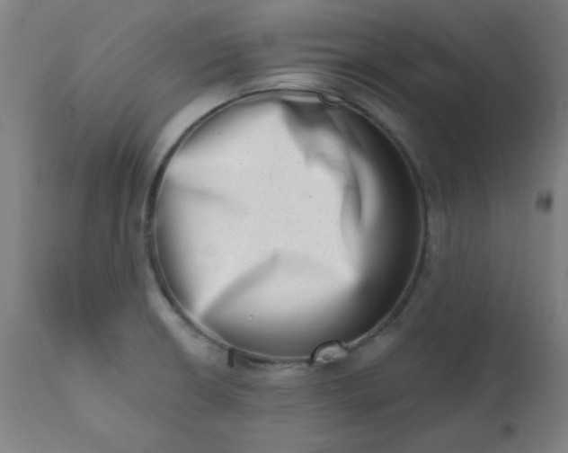 X0000113201426200909241347