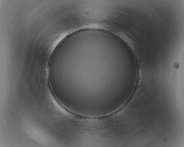 X0000113201428200909241347