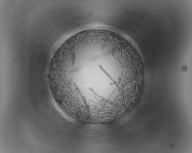 X0000113201429200909241347