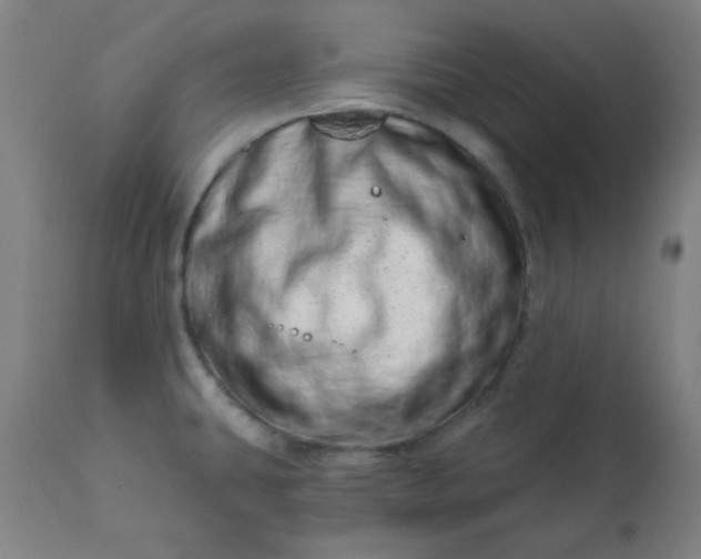 X0000113201431200909241347