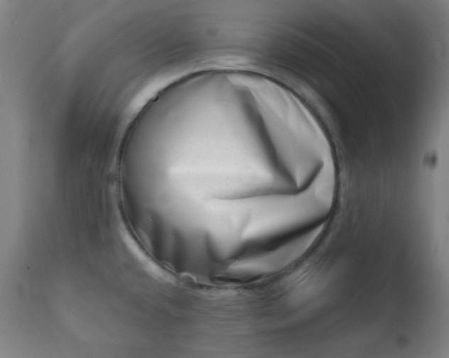 X0000113201432200909241347