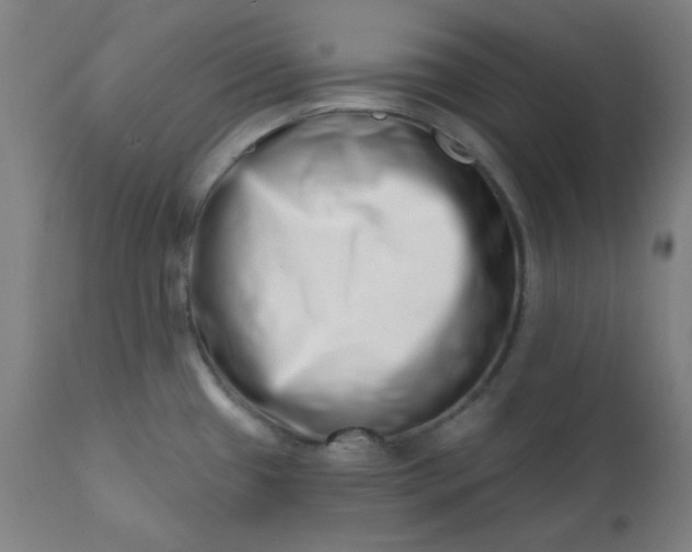 X0000113201433200909241347