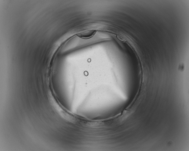 X0000113201434200909241347