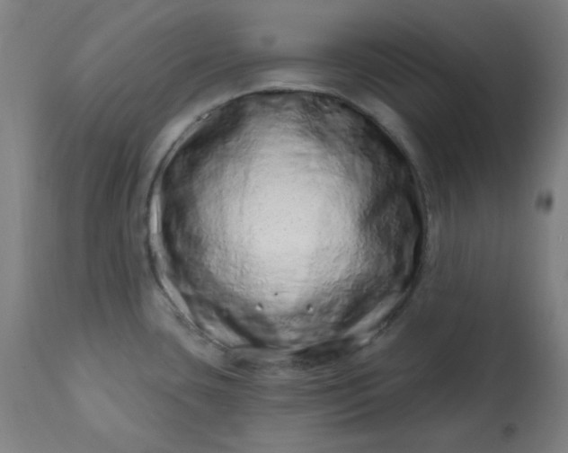 X0000113201435200909241347