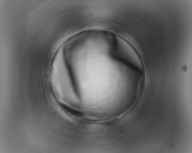 X0000113201436200909241347