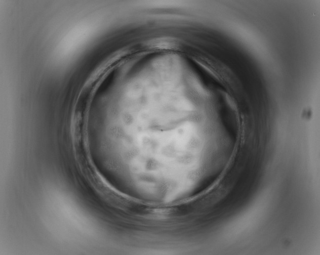 X0000113201438200909241347