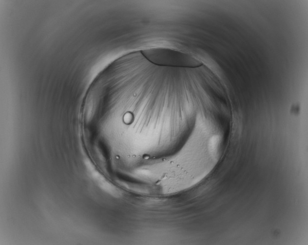 X0000113201439200909241347