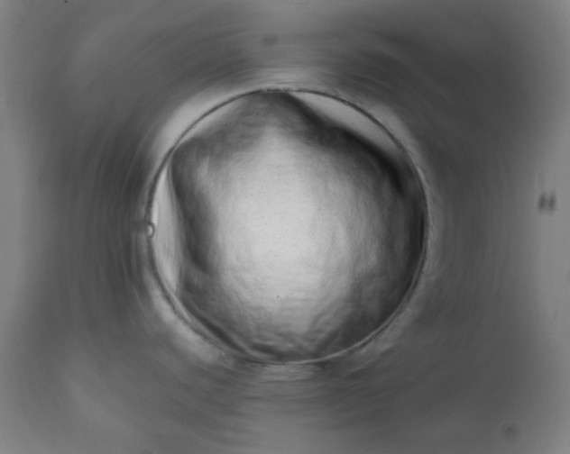 X0000113201440200909241347