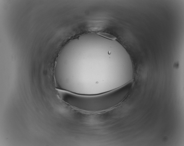 X0000113201441200909241347