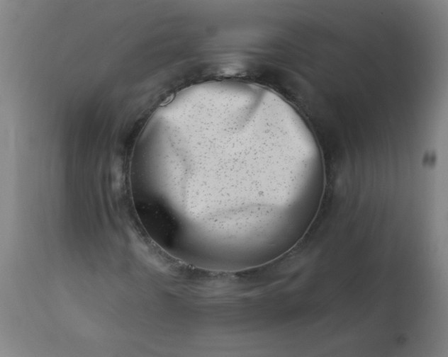 X0000113201442200909241347