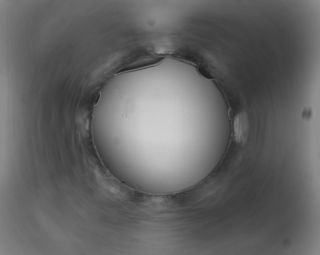 X0000113201443200909241347