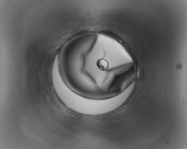 X0000113201444200909241347